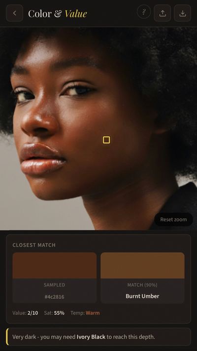 BrushLens Color and Value tool showing sampled color matched to Burnt Umber from palette