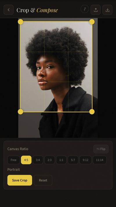 BrushLens Crop and Compose tool with canvas ratio options and rule of thirds overlay